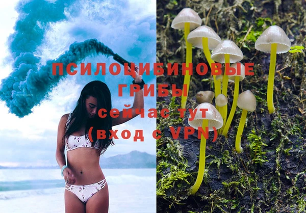 spice Семикаракорск