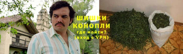 PSILOCYBIN Семилуки