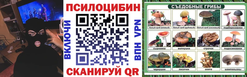 Псилоцибиновые грибы Magic Shrooms  Купить закладки  Тайга 